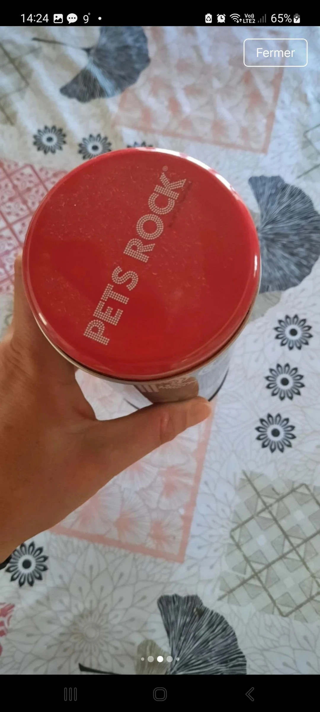 Caja Pets Rock – photo 6